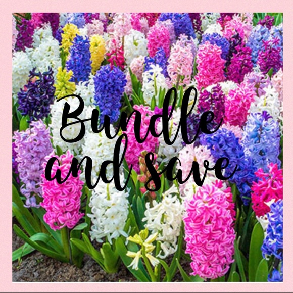 Meet your Posher, Melina - Picture 4 of 8